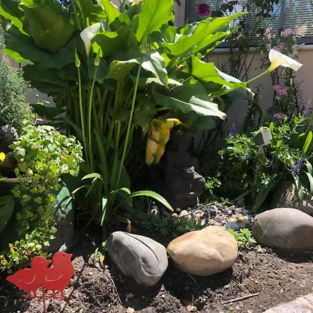 La Perle ホームステイ